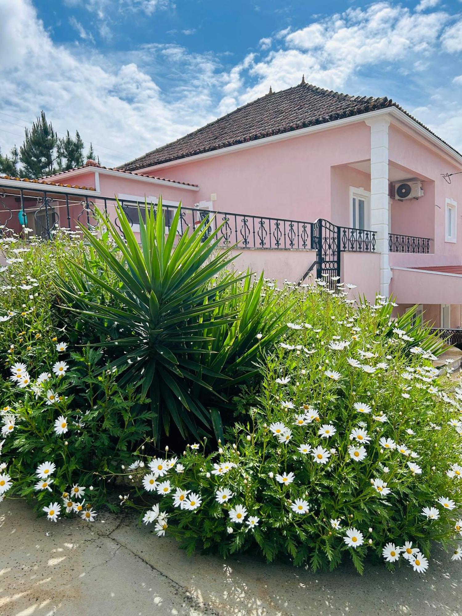 Mae Home Story Caldas Da Rainha Exterior foto