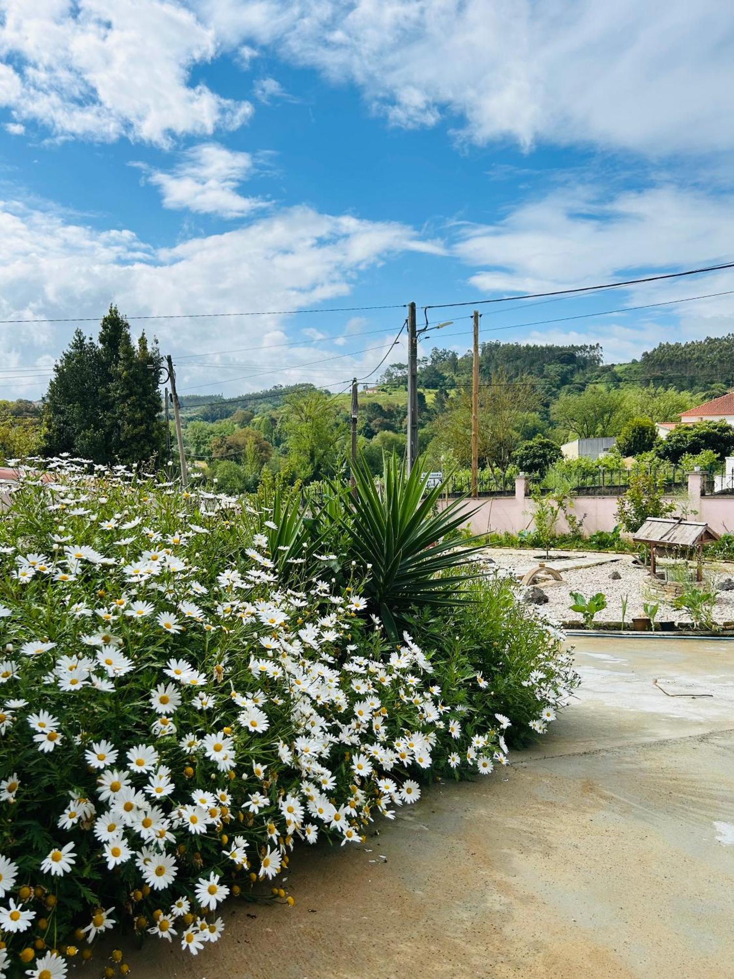 Mae Home Story Caldas Da Rainha Exterior foto